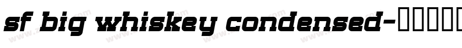 sf big whiskey condensed字体转换